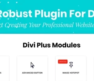Divi Plus