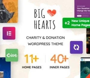 BigHearts – Charity & Donation WordPress Theme