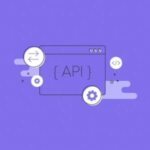 WooCommerce API Manager