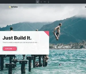 Bricks Theme (with built In Builder)