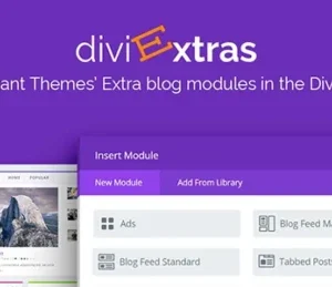 Divi Extras
