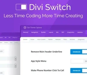 Divi Switch
