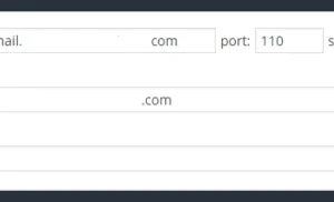 Newsletter Bounce Management