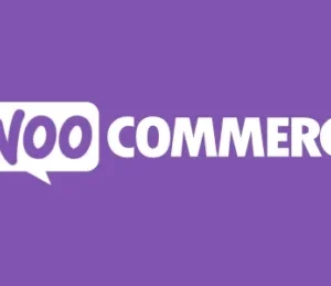 WooCommerce Checkout Addons