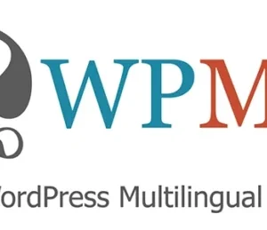 WPML Media Translation Addon